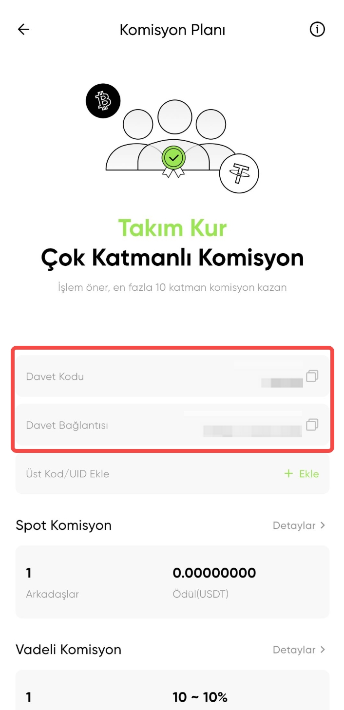 33333.jpg